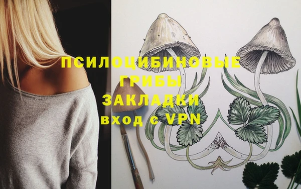 прущая мука Каменка